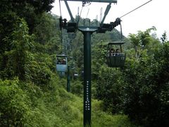 -野象谷景区