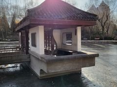 -团结湖公园