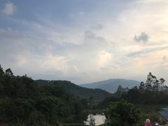 -天强农家菜馆