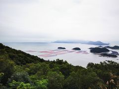 -花竹村