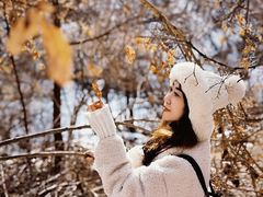 -天女山森林公园