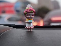 -石家庄市动物园