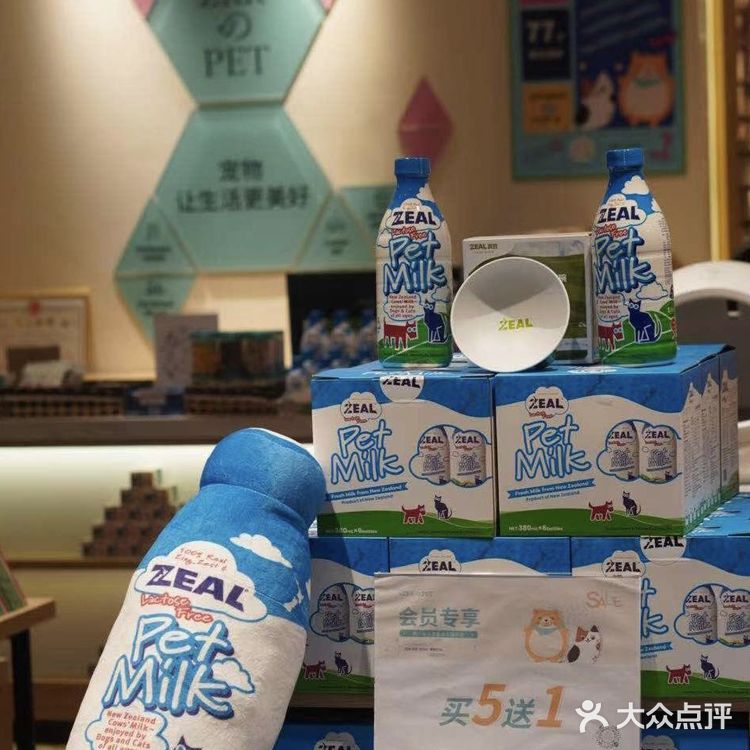 铲屎官快来报道❗❗