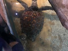 -临沂极地海洋王国