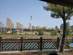 -菊园百果园