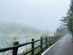 -武陵山森林公园