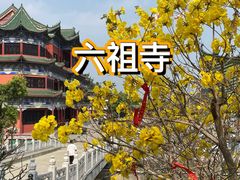 -六祖寺