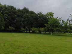 -眉山湿地公园(东坡区)
