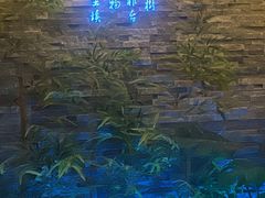 -金凤凰健康养生·足疗·推拿·SPA(横岗店)