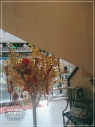 -海茱雅科技健康美容