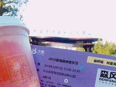 -黄海国家森林公园