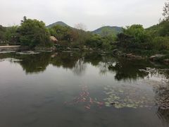 -白马涧龙池景区