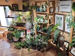 -Rabbit Cafe私房西餐甜点咖啡(栖霞路店)