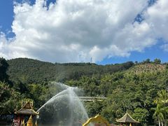 -西双版纳原始森林公园