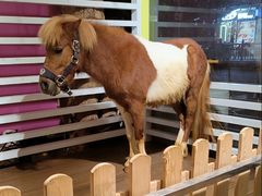 -江南西(地铁站)