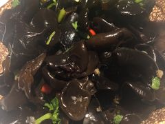 -虾饺妹·酒家(金碧店)