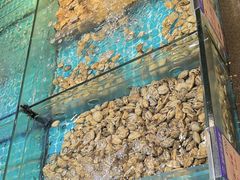 -梦都海鲜酒家(万达广场江桥店)