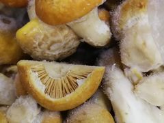 黄蘑菇炖鸡-杨家饭馆(八宝店)