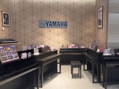 -知音艺术教育培训·钢琴培训·音乐培训(河西金鹰世界校区)