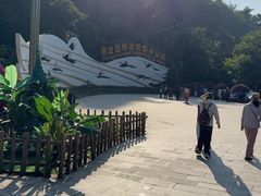 -西双版纳原始森林公园
