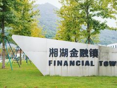 -湘湖金融镇