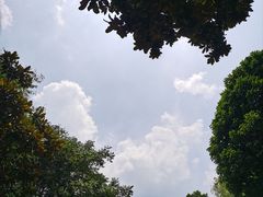 -沙家浜风景区