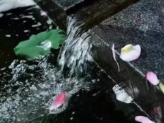 -楠柏弯休闲山庄(梨花溪店)