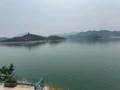 -望湖烤鱼