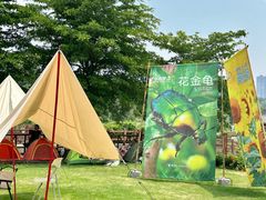 -广西壮族自治区药用植物园