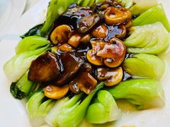 菜心耗油双菇-五芳齋(云南南路店)