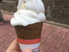 -富豪雪糕车流动点(尖沙咀店)