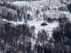 -灵山