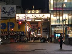 -蟹道乐(道顿堀本店)