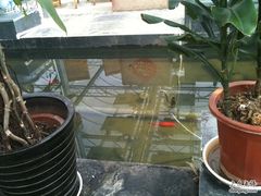 IMG_0457-龙凤山庄(永定镇店)