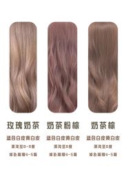 -蚂蚁造型俱乐部