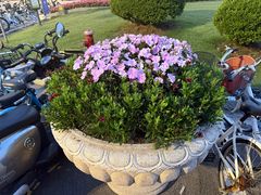 -上海交通大学(闵行校区)