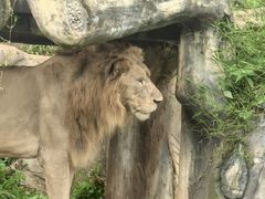 -海南热带野生动植物园