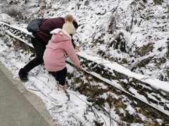 -武陵山森林公园