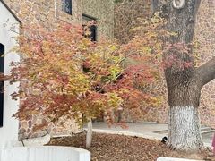 门面-J Create城市露营咖啡·简餐·宠物(上海动物园店)