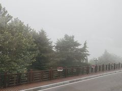 -棒棰岛宾馆景区