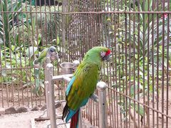 -南宫五洲植物乐园