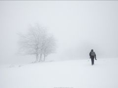 -妈妈的味道(工人体育场东路店)