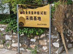 -仙蘑洞