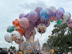 -上海迪士尼度假区