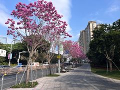-深圳野生动物园