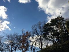 -三鹰之森吉卜力美术馆