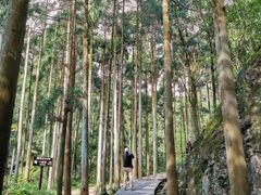 -雁荡山风景名胜区