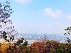 -灵岩山风景区