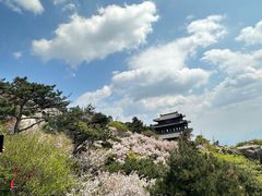 -泰山风景名胜区