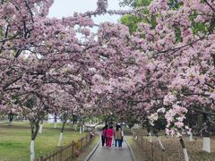 -成都南湖公园